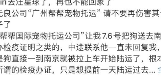 “金毛Siri”去世原因曝光，陈乔恩、徐冬冬发声，托运方态度嚣张