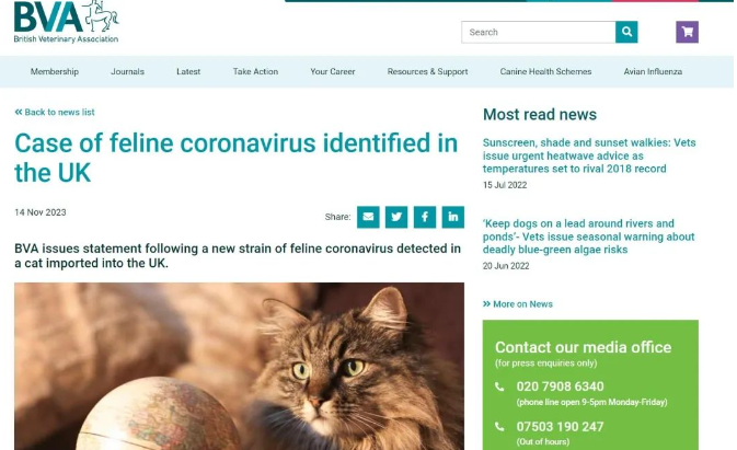 FCOV-23，可传染的新猫传腹病毒出现？