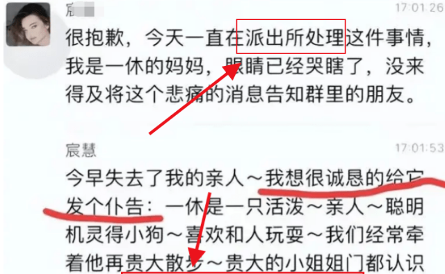 贵阳打狗事件后续，五位爱狗人士被传唤，摊上大事了，道歉都没用
