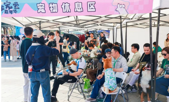 南宁这条狗子一天就帮主人赚10000元！网友：果然是“人家的狗子”
