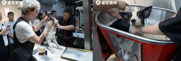 伊珊娜大师课开讲：国际美容顾问Monique老师亲授课程