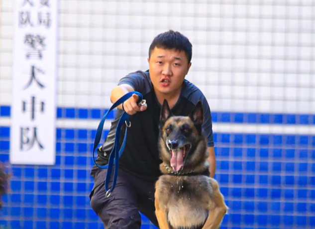 “汪”者荣耀！兴文公安警犬大揭秘