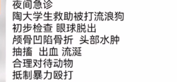虐狗惨案频发，社会：我得了大病