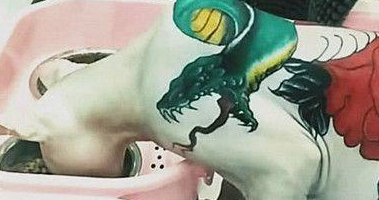 有考虑过猫咪的感受吗？女子养无毛猫，却在它身上大面积纹身！