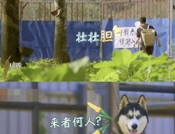 哈哈农夫看门“恶犬”，却遭王源的疯狂嘲讽，汪：我不要面子吗？