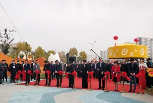 打造全国知名的宠物产业之都！首届中国（聊城）萌宠文化节开幕