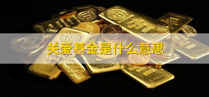 关爱基金是什么意思，慈善基金