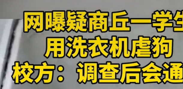 虐狗惨案频发，社会：我得了大病