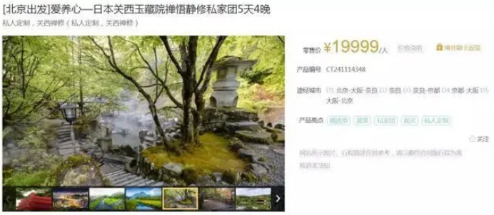 “治愈经济”来了，你的孤独和焦虑里藏着这些商机