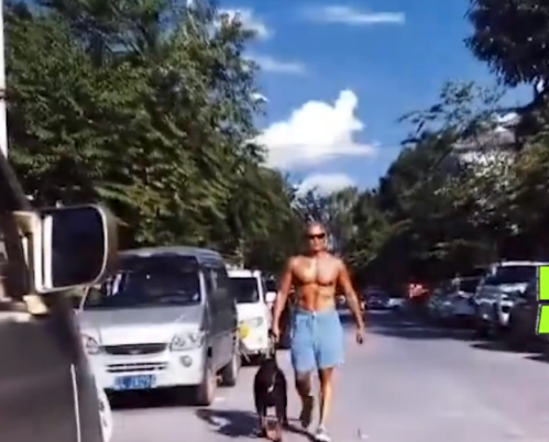 乐嘉光膀子上街秀肌肉，牵着大赛犬横穿街道，遛狗却不牵绳 