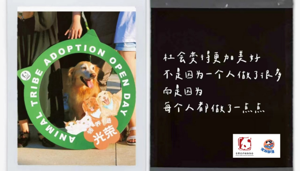 宠游部落：共筑人宠和谐共融的未来