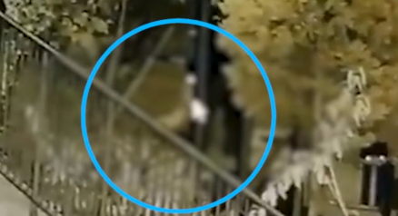宠物狗因没牵狗绳被老人吊死在单杠上，没牵狗绳就能这样做？