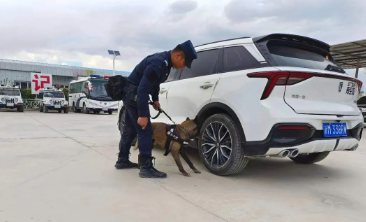 安全感翻倍！抓好警犬训练，助力“夏季行动 ”