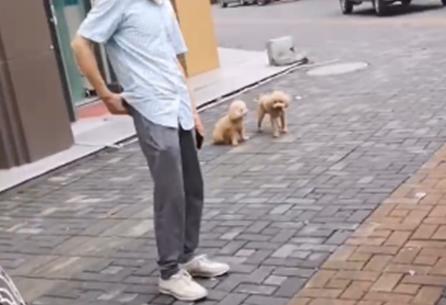 “又不尿你屋里！”大妈遛狗不拴绳，路人指责狗乱撒尿被大妈怒怼 