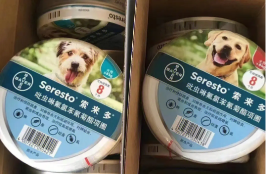 中国已成为仅次于美国的世界第二大宠物市场 宠物经济风正劲