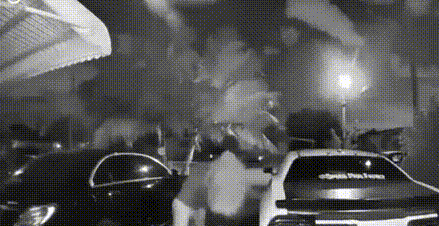 为抢两只小奶狗，美国女子和3名少年火拼，子弹横飞差点被爆头
