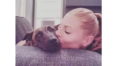 虎斑犬在国内被嫌弃，国外主人却超爱：散步都被夸帅