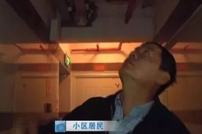 昆明一小区发生“高空抛狗”：现三只泰迪犬尸体，警方调查