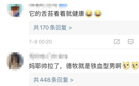 33万“天价”警犬竟然长这样？网友：都没人花33万娶我