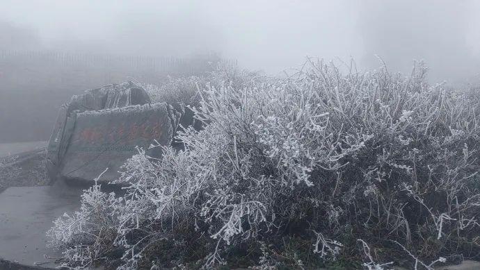 大降温！福建一地出现雾凇！回暖时间就在……