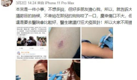 假装怕猫的董又霖，能学会感同身受吗？ 