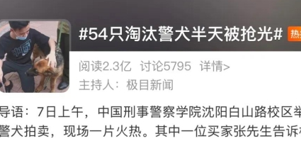 33万“天价”警犬竟然长这样？网友：都没人花33万娶我