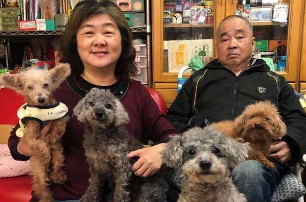 妈妈难得打电话来，说叮嘱三件事，结果关心的却是狗子... 