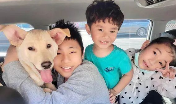 被小朋友糟蹋了一整天的狗狗！