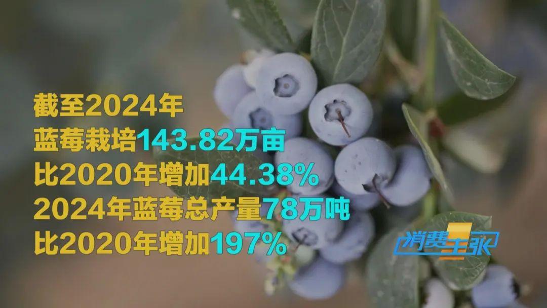 “水果之王”价格腰斩，还能再降！
