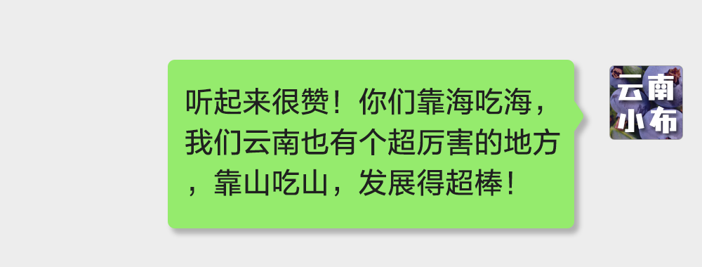 海味与果味，你更爱哪一味？