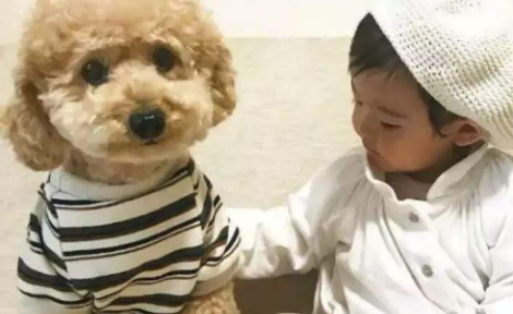 6月大的宝宝和狗狗吵架，吵不过就上手打，镜头记下搞笑画面