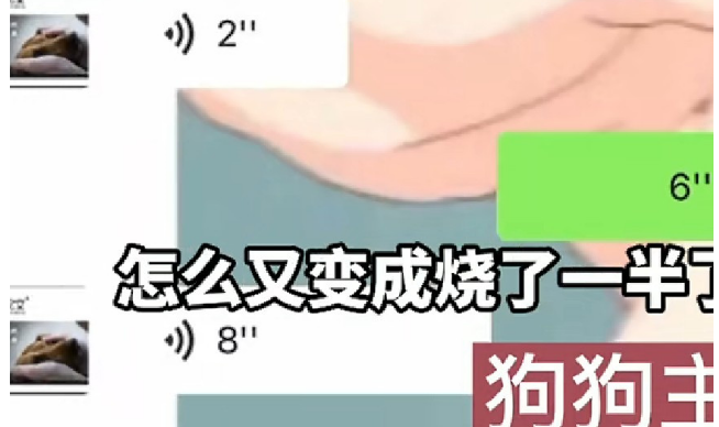 狗狗过世送去火化，店家：炉子坏了，烧了一半，主人听后情绪崩溃