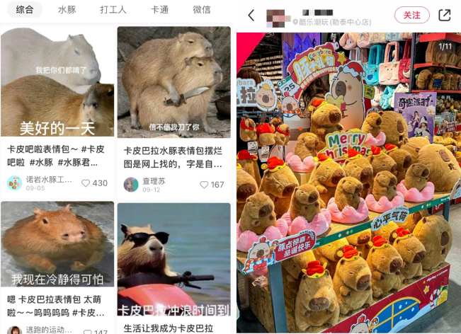 30元一只的水母宠物，怎么就成了打工人的心头好？