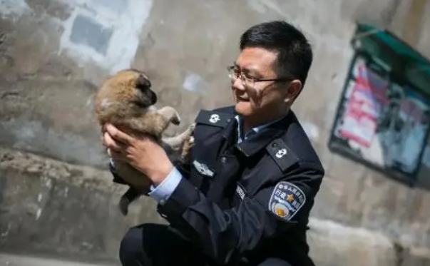 安徽宠物犬被捕狗队抓走送市场宰杀加工，残忍行为引发社会争议！