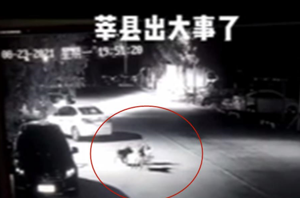 山东莘县一小孩被两只狗撕咬，当地警方回应：已控制相关人员