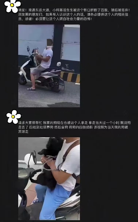 死在恶魔手上的小柯基：四肢被掰断，脖子被钥匙戳穿