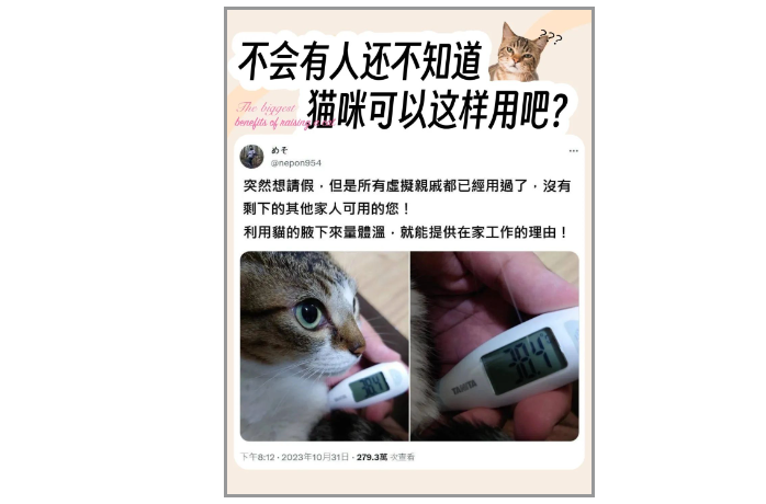 网友想翘班，用猫咪这样做，立马发高烧成功请假！猫：你是真的狗！