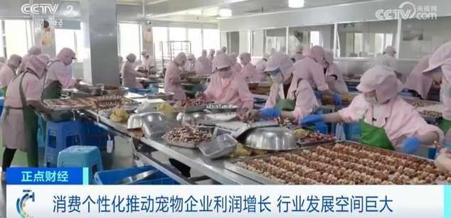 宠物市场迎来高速增长期，一年新增近100万家相关企业