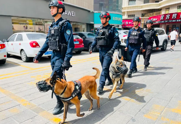 安全感翻倍！抓好警犬训练，助力“夏季行动 ”