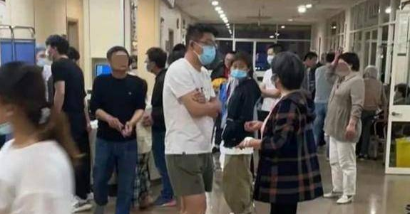 江苏一恶犬袭击21人，涉事恶犬已被“抓捕归案”