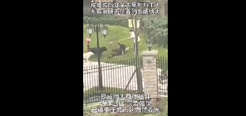 疑咬伤女童黑狗逃跑画面曝光！女童母亲发声