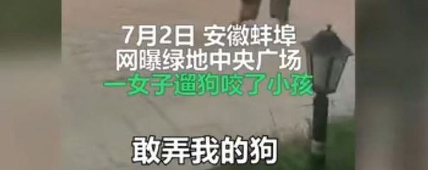 徽州宴主人公侄子发声，小姨的狗值70万，错在家里太有钱