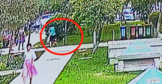 银川一老人在小区被泰迪两次扑咬，胳膊、手背受伤！