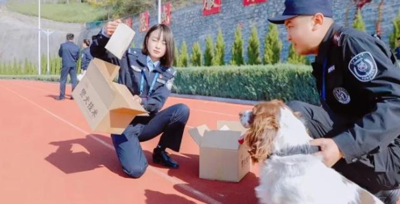“满级”警犬“豆豆”：行走的爆炸物“探测仪”