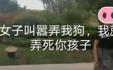 “老子有钱！”开“徽州宴”女子：敢弄我的狗就给你孩子弄死 