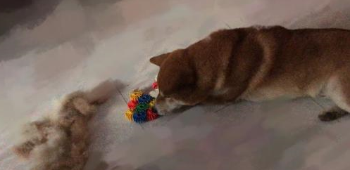 捣乱：人家九寨沟金秋飘雪，你个柴犬跟什么风，非弄个漫天狗毛