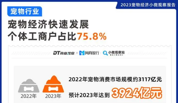 “养儿式养宠”流行，它经济跑出哪些新赛道？