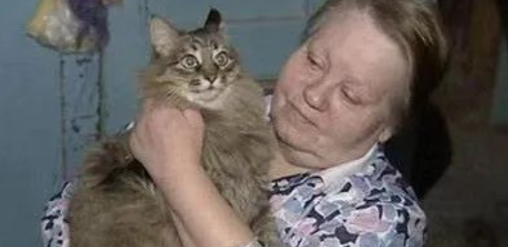 零下十几度的寒冬，流浪猫用自己的身躯救活弃婴