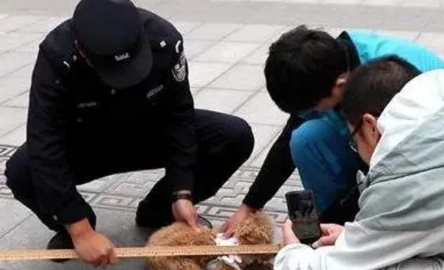 养狗请拴绳！菏泽警方查处违规养犬案件35起