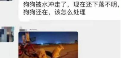 广东一男子在江堤边遛狗，不幸被狗拽入江水中，现仍在搜寻中